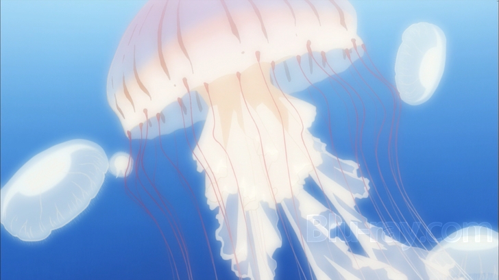 Anime Princess Jellyfish HD Wallpaper