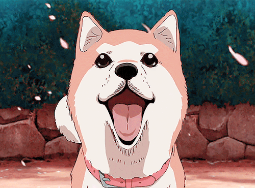 Anime dog nice GIF  Find on GIFER